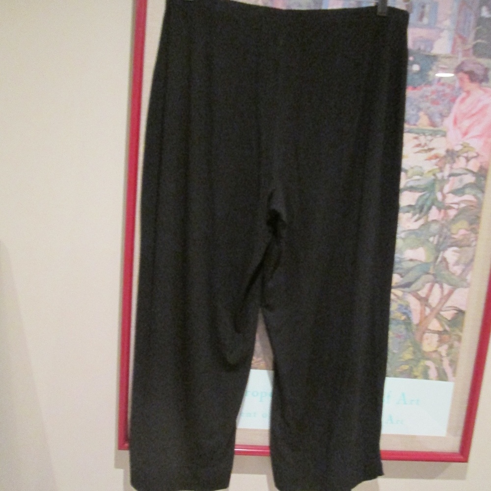 J Jill Black Cropped Rayon Spandex Knit Pants - Picture 2 of 3